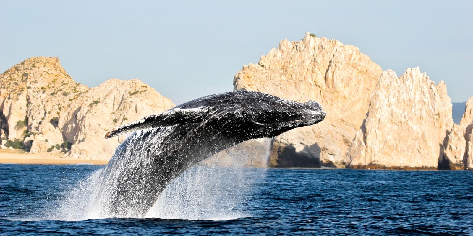 ¿Cuáles Son las Mejores Épocas del Año para Comprar una Propiedad en Los Cabos?