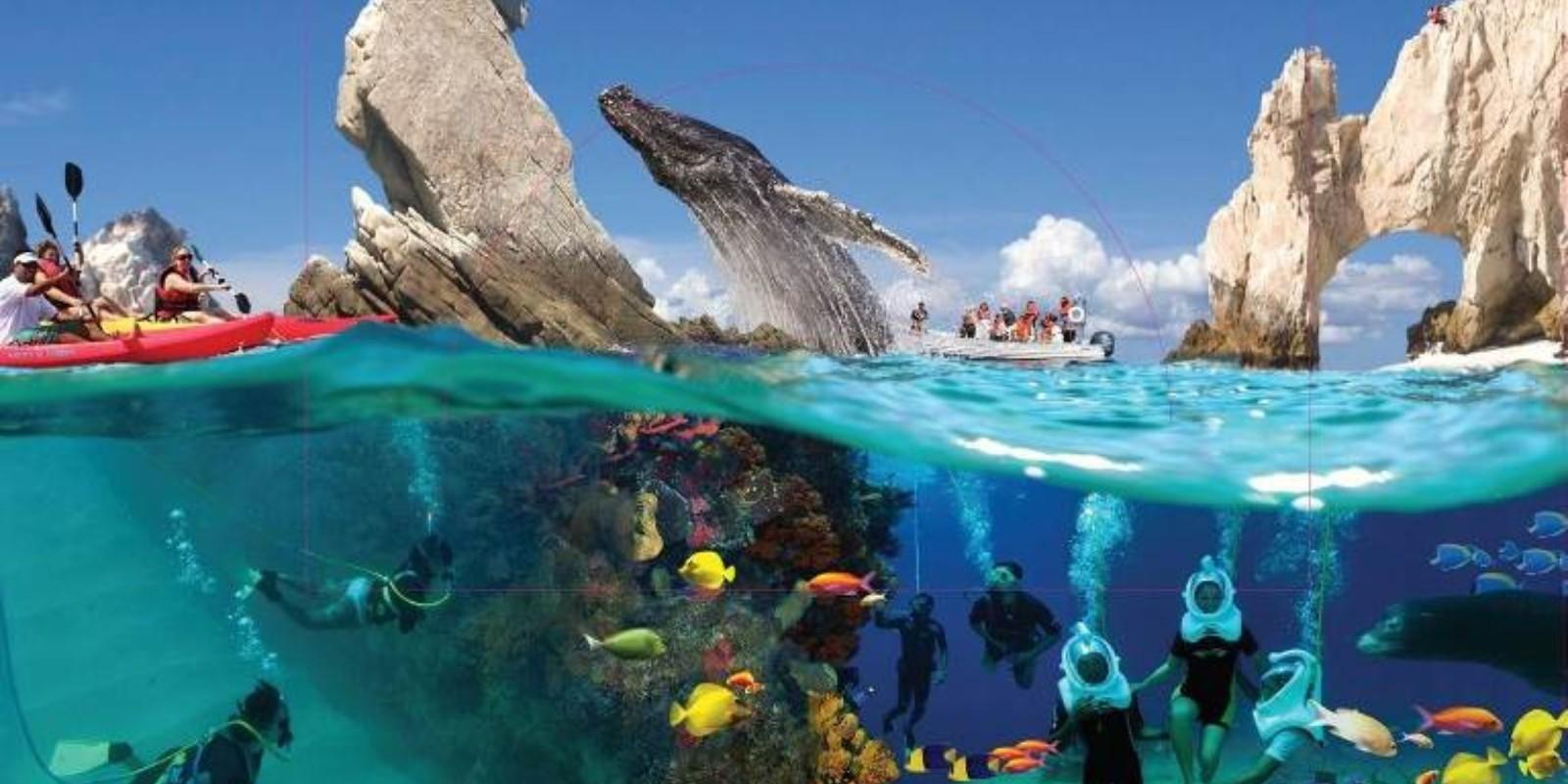 ¿Qué Actividades y Atracciones Ofrece Los Cabos?